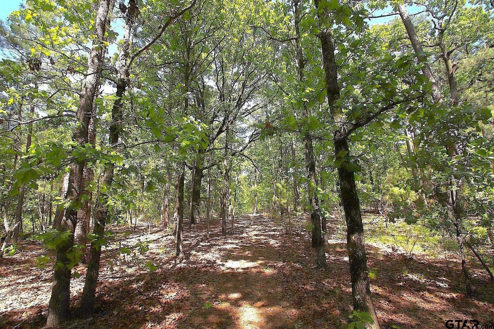 59.08 acres in Wood County - photo 32