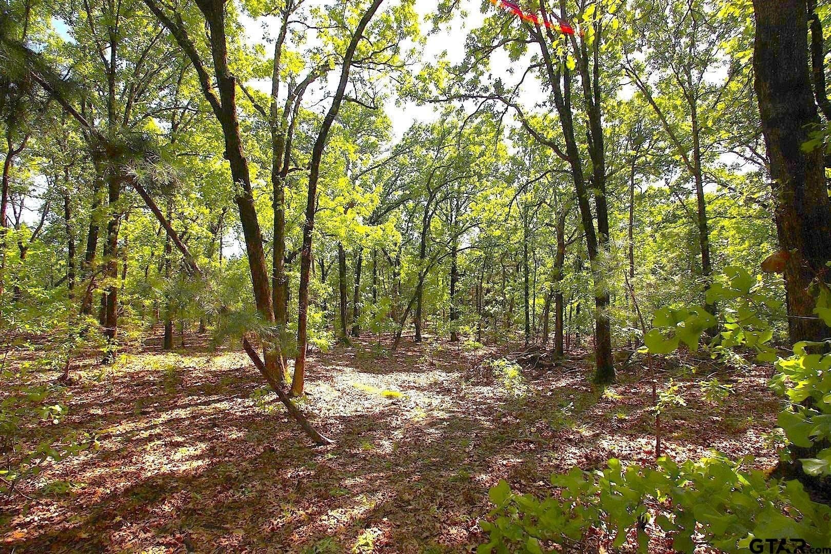 59.08 acres in Wood County - photo 35