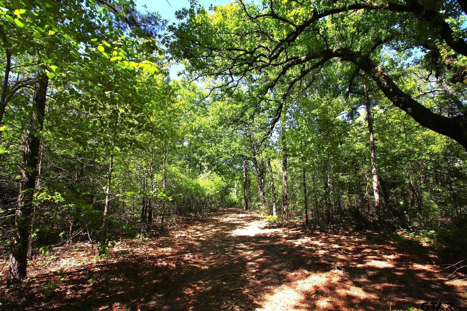 59.08 acres in Wood County - photo 8