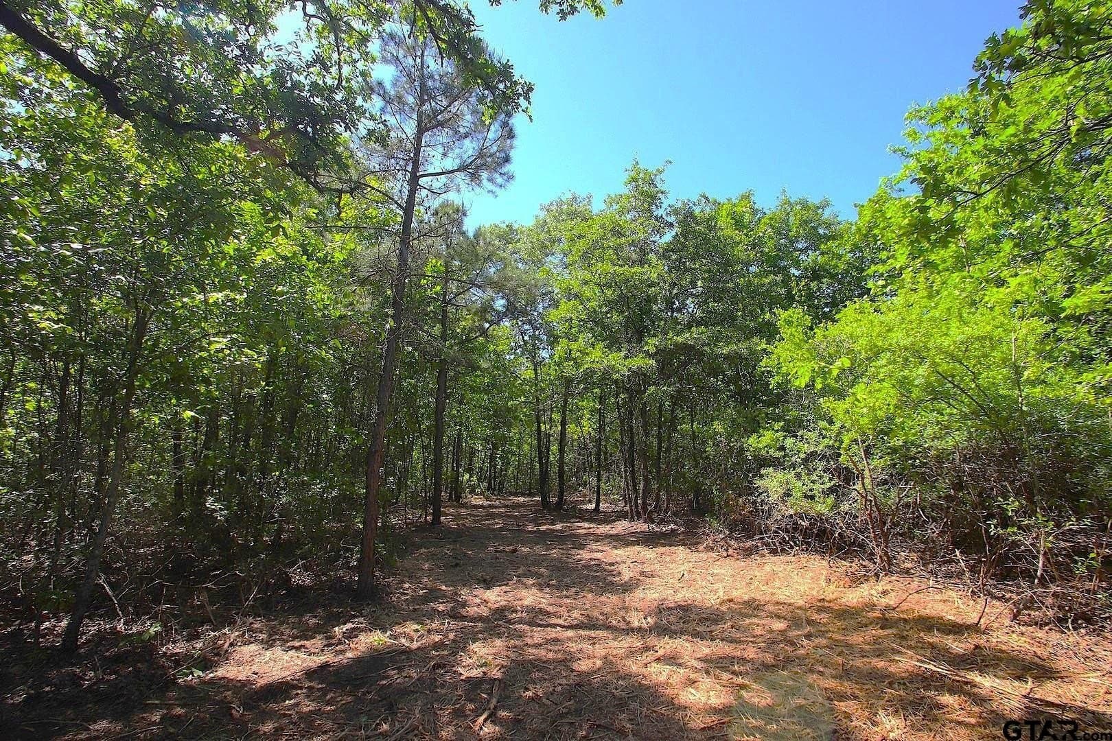 59.08 acres in Wood County - photo 18