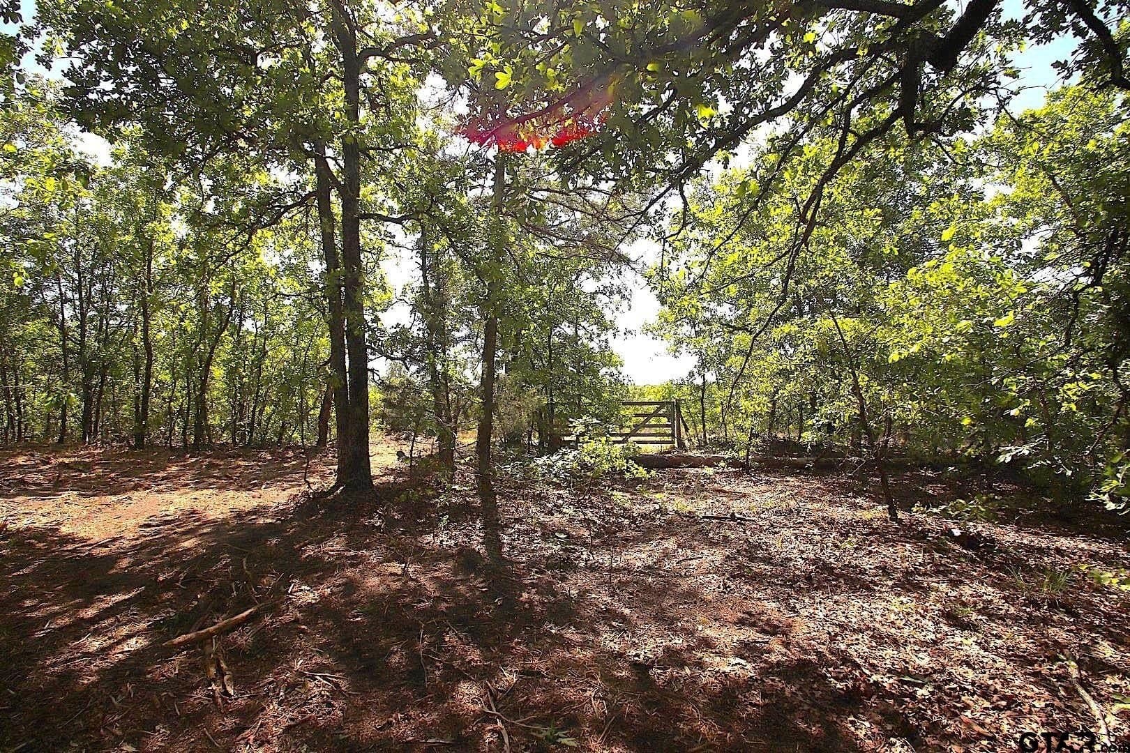 59.08 acres in Wood County - photo 42
