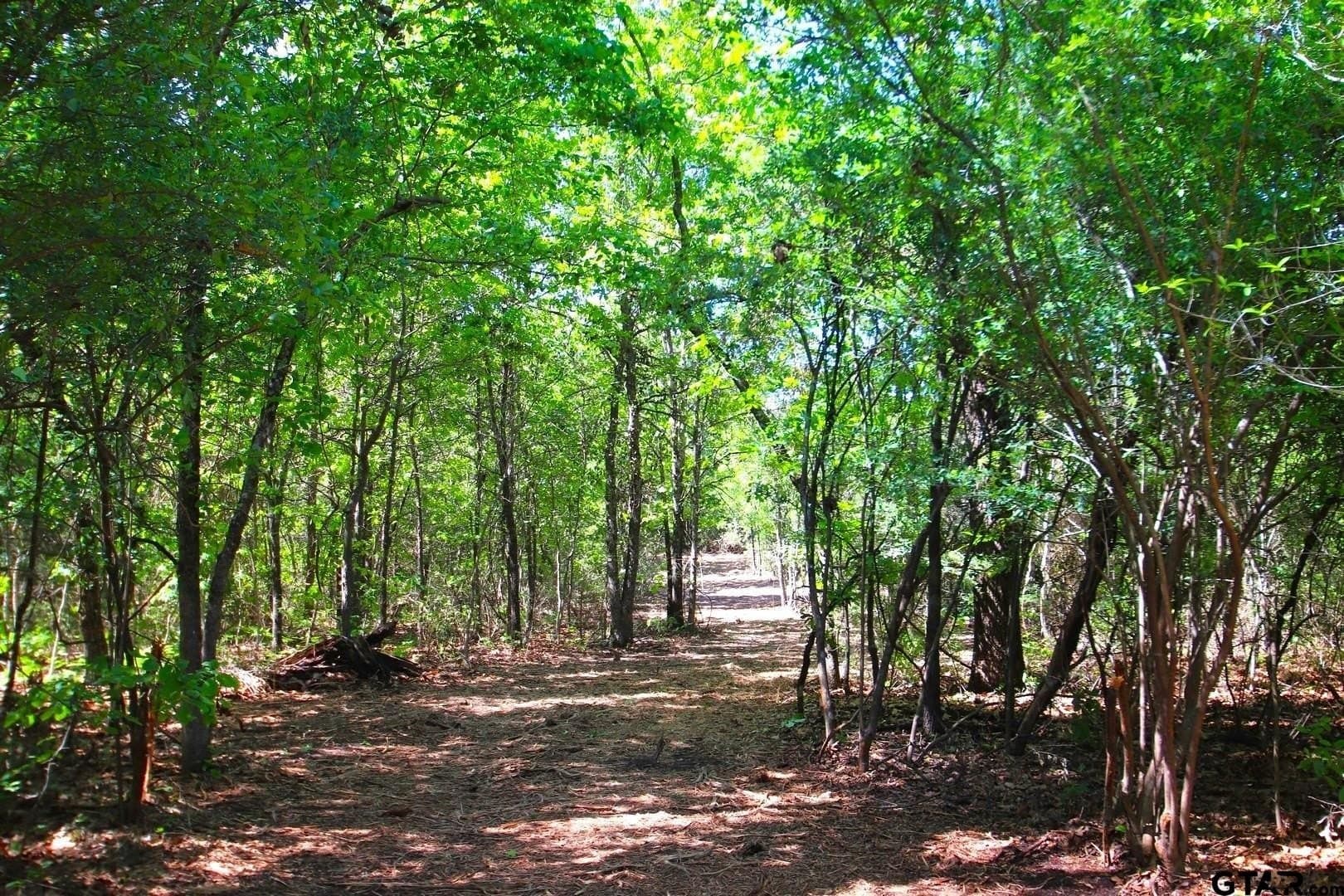 59.08 acres in Wood County - photo 16