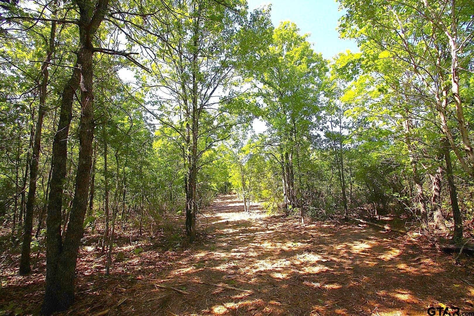 59.08 acres in Wood County - photo 17