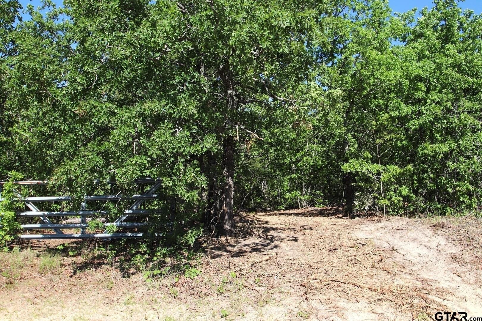 59.08 acres in Wood County - photo 44