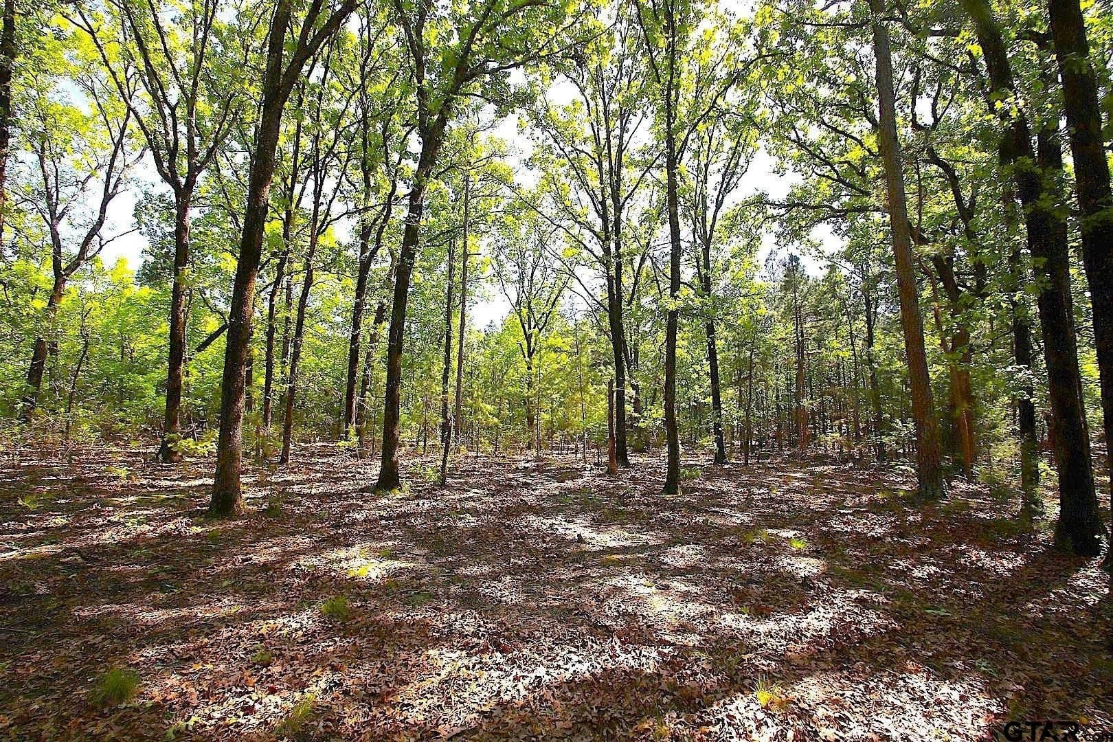 59.08 acres in Wood County - photo 38