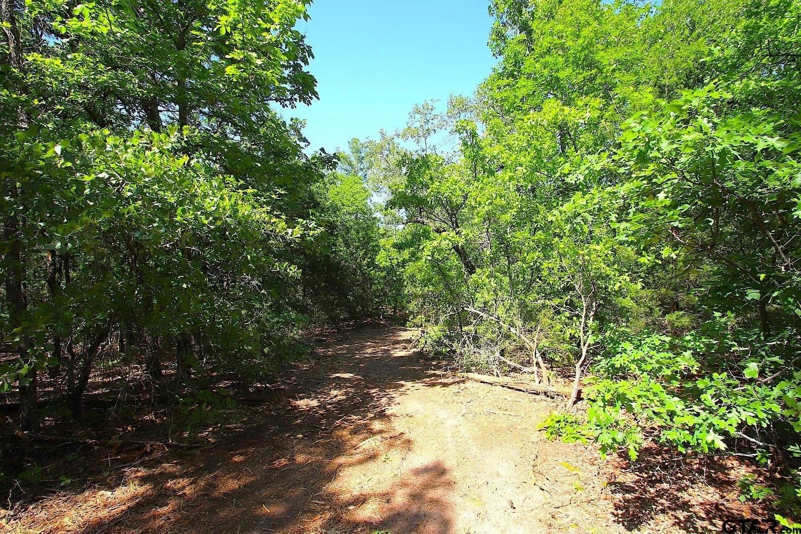 59.08 acres in Wood County - photo 25