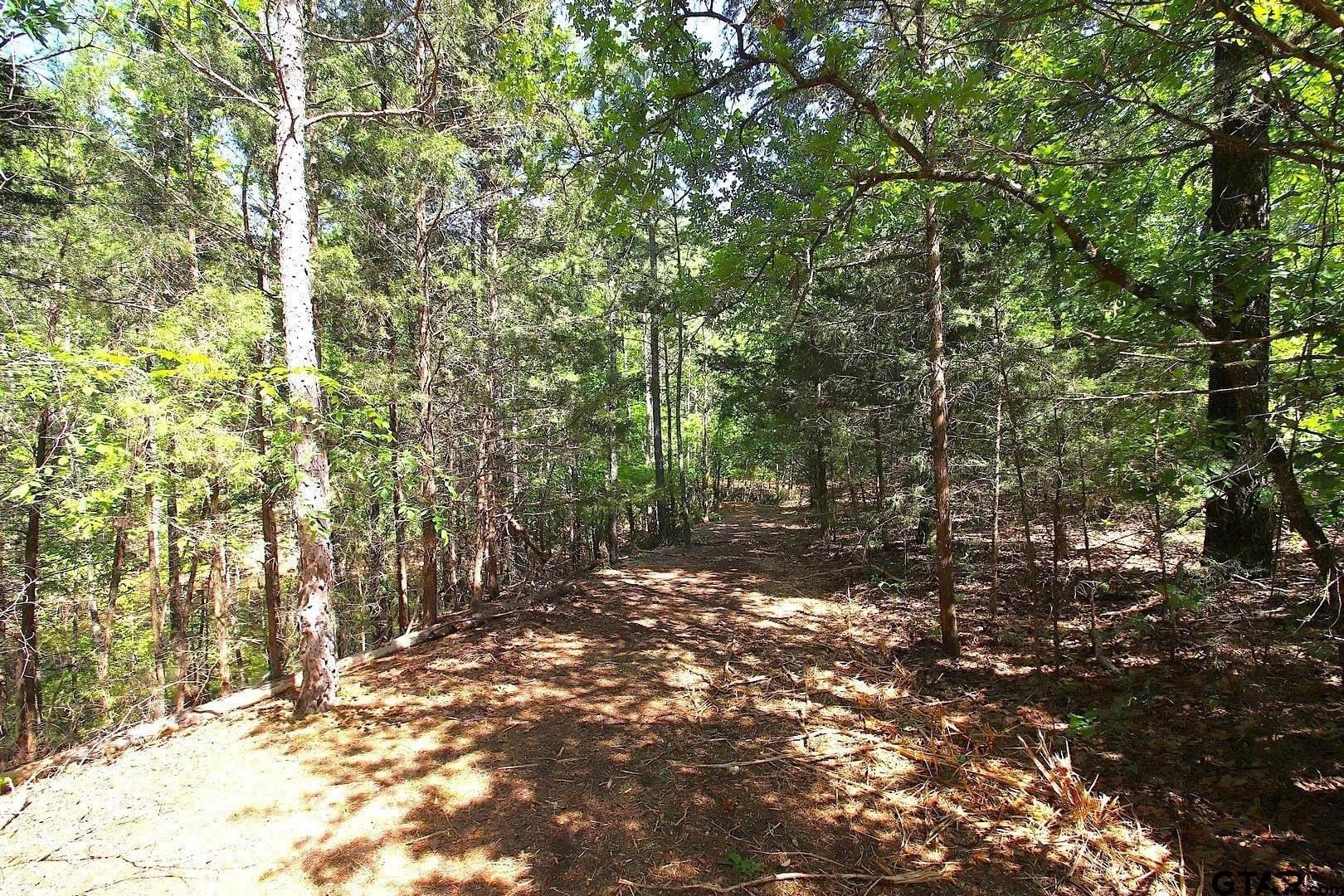 59.08 acres in Wood County - photo 23