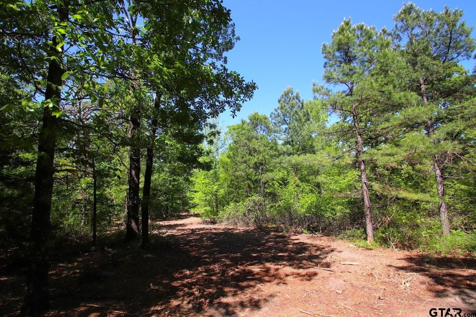 59.08 acres in Wood County - photo 10