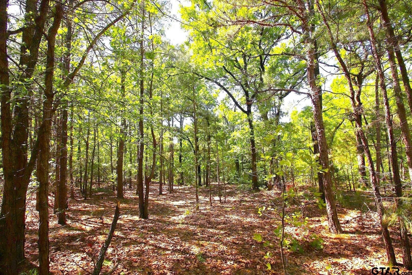 59.08 acres in Wood County - photo 30
