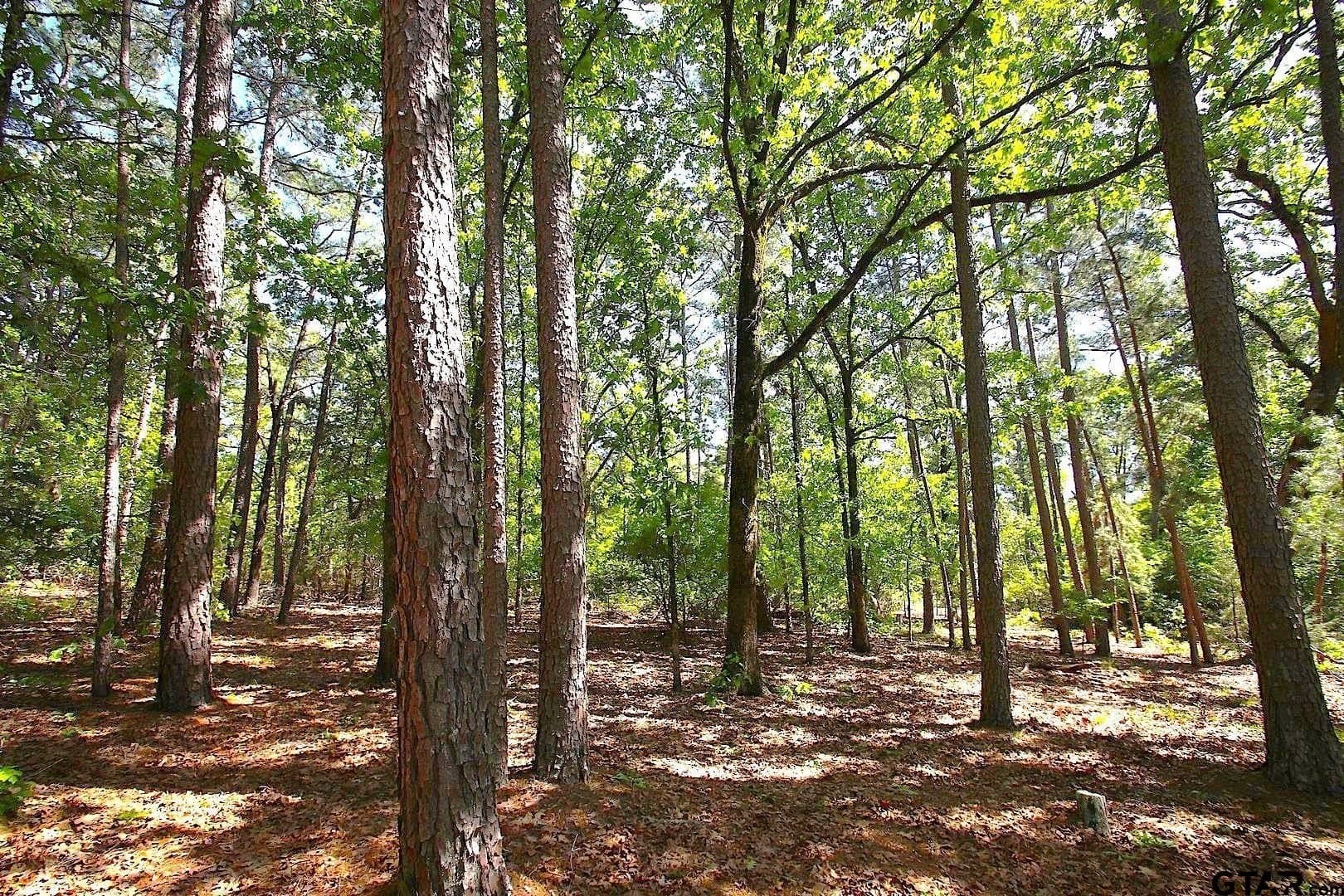 59.08 acres in Wood County - photo 40