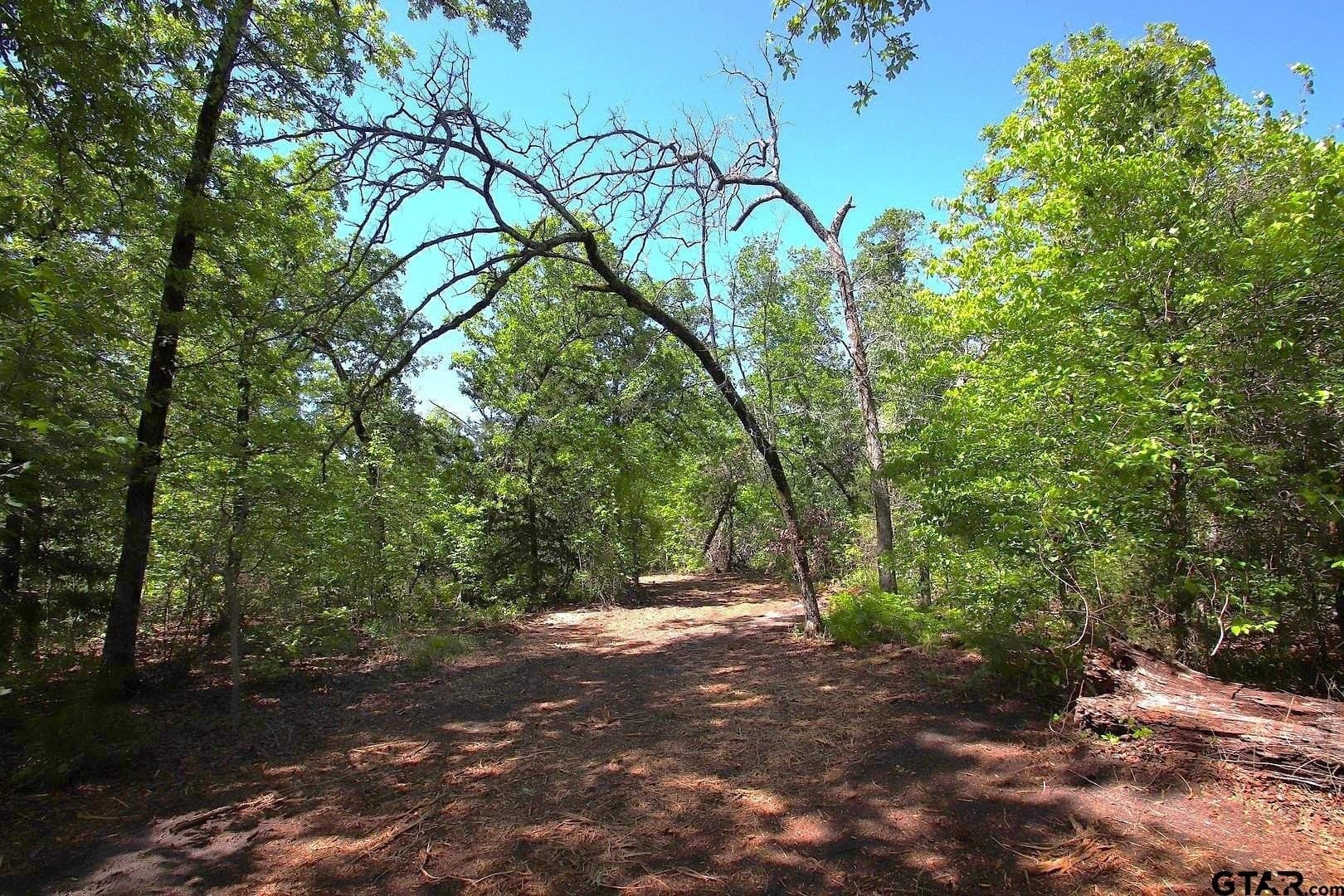 59.08 acres in Wood County - photo 13