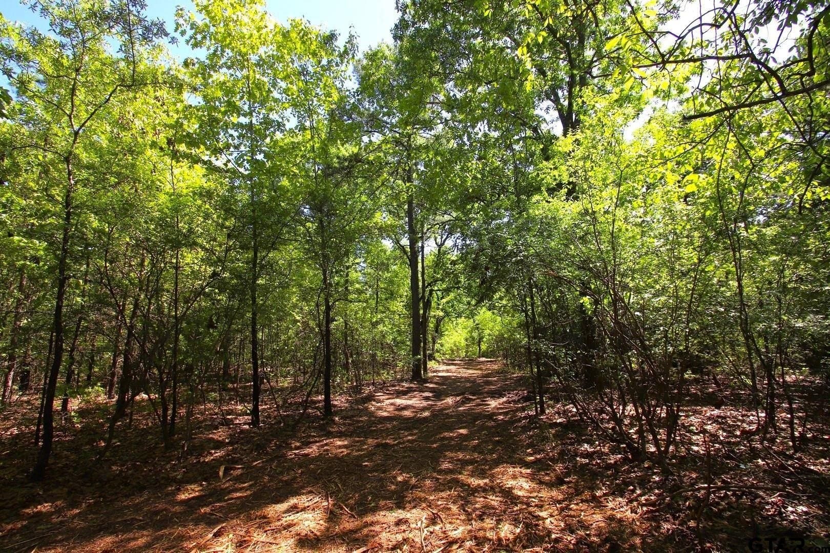 59.08 acres in Wood County - photo 9