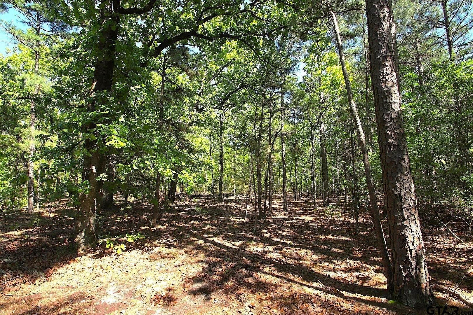 59.08 acres in Wood County - photo 29