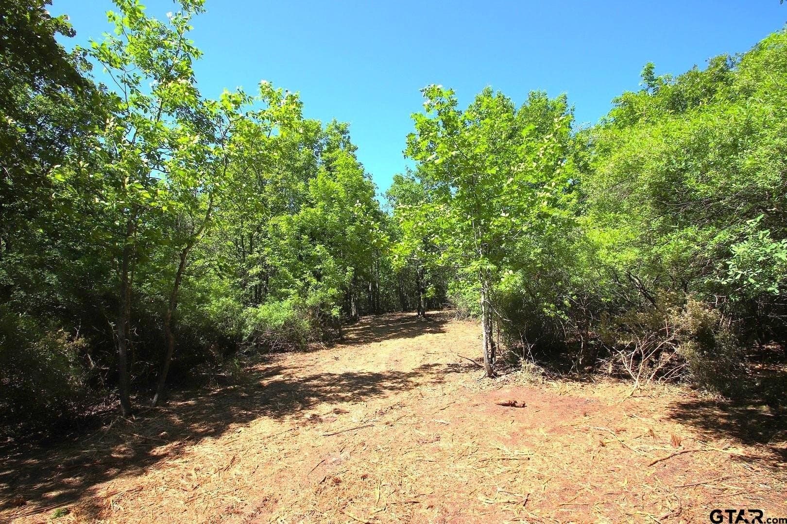 59.08 acres in Wood County - photo 21
