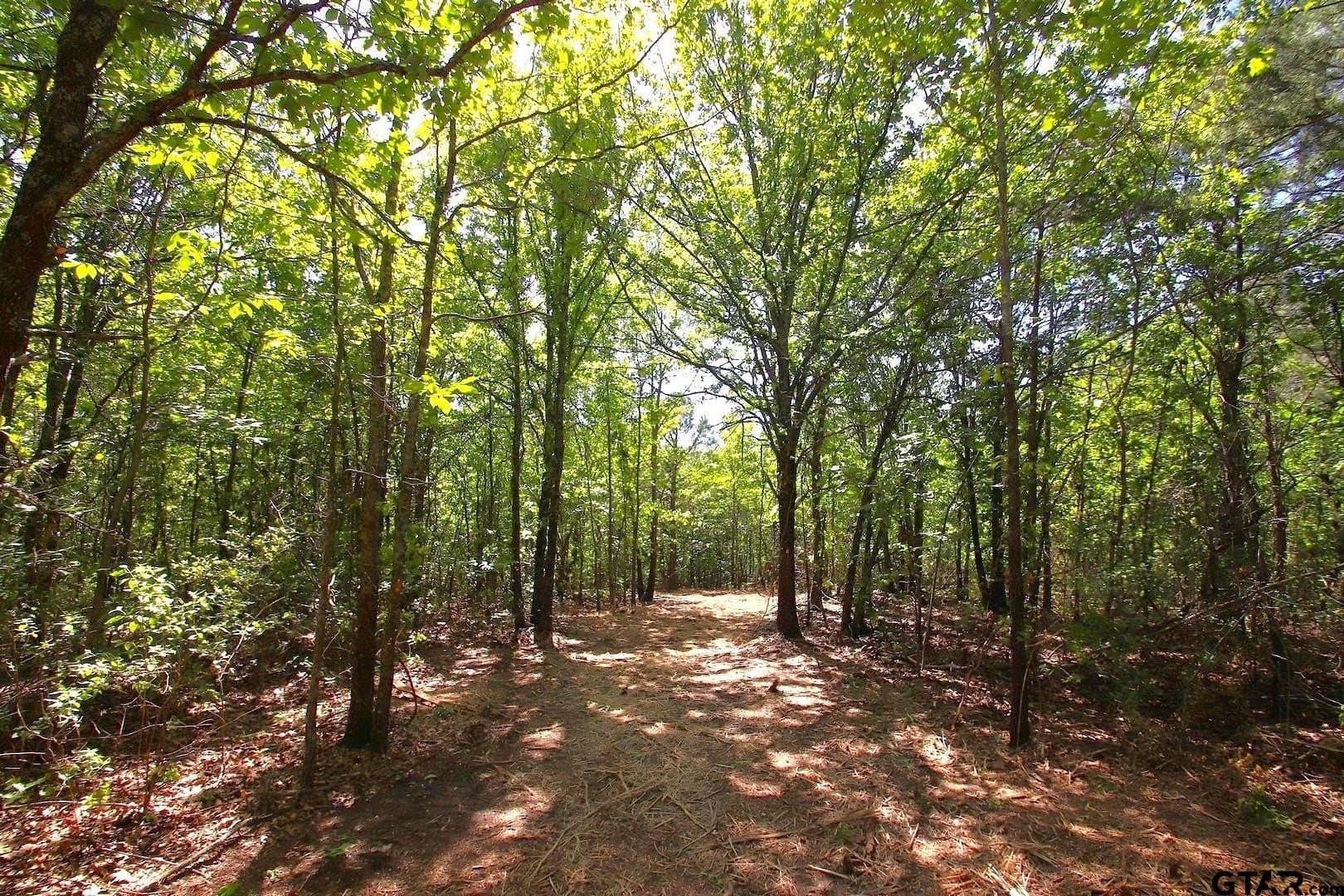 59.08 acres in Wood County - photo 19