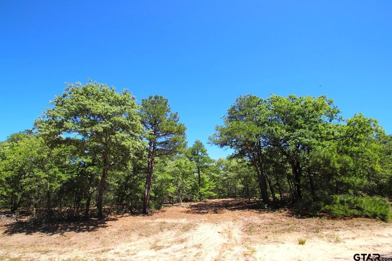 59.08 acres in Wood County gallery image 2