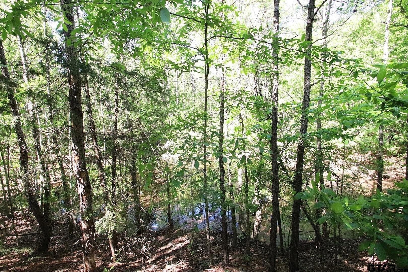 59.08 acres in Wood County - photo 27