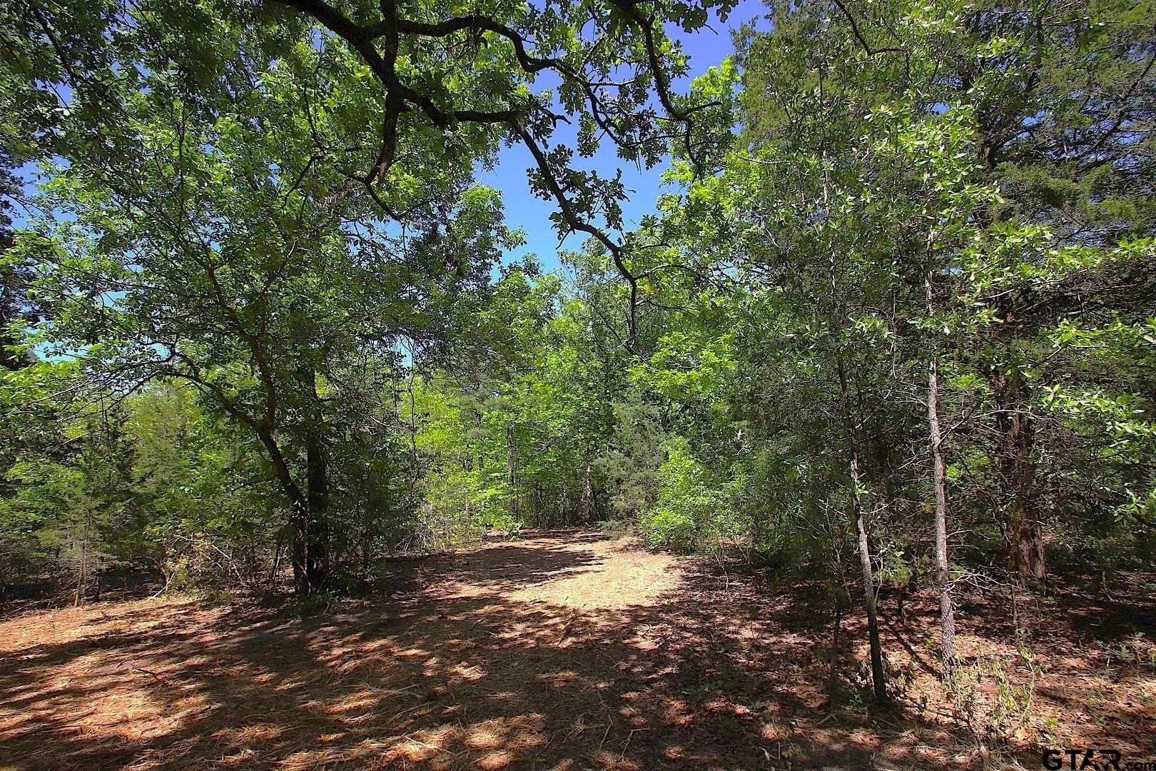 59.08 acres in Wood County - photo 7