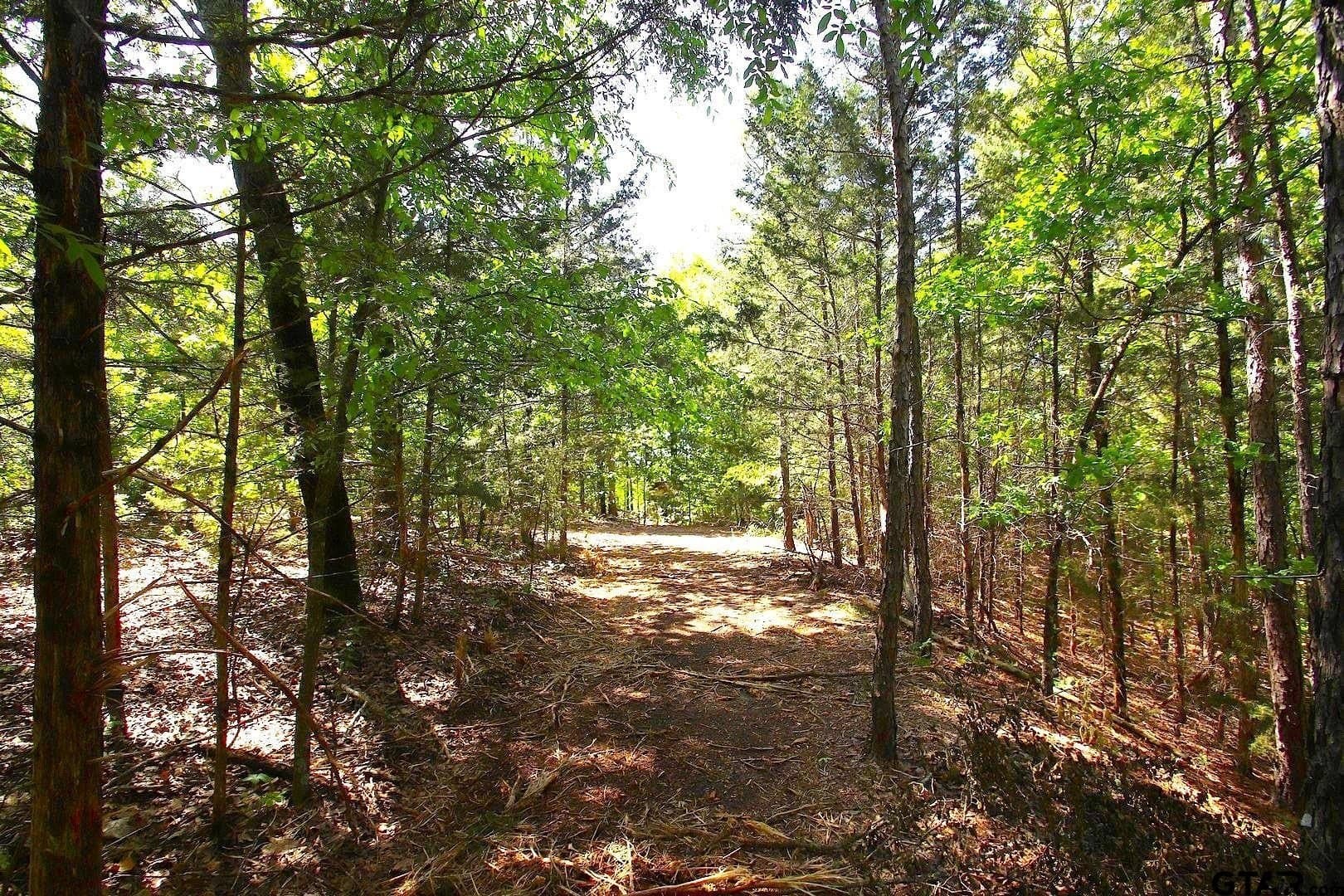 59.08 acres in Wood County - photo 28