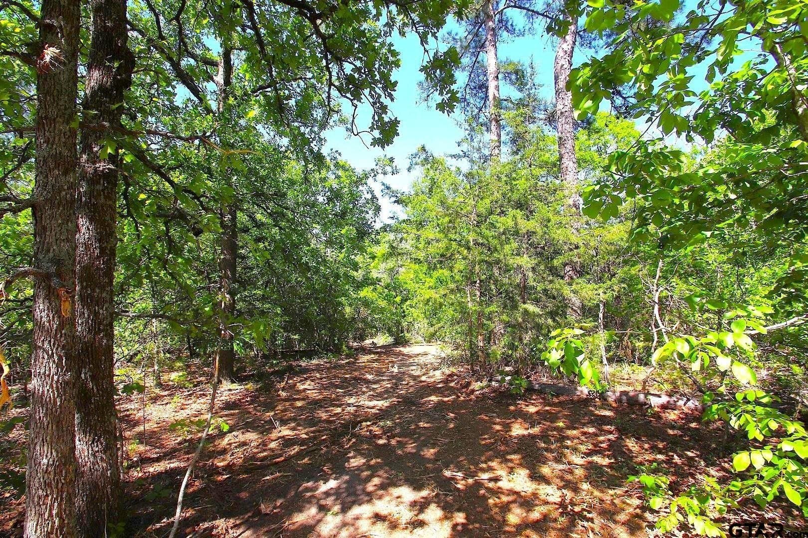 59.08 acres in Wood County - photo 24