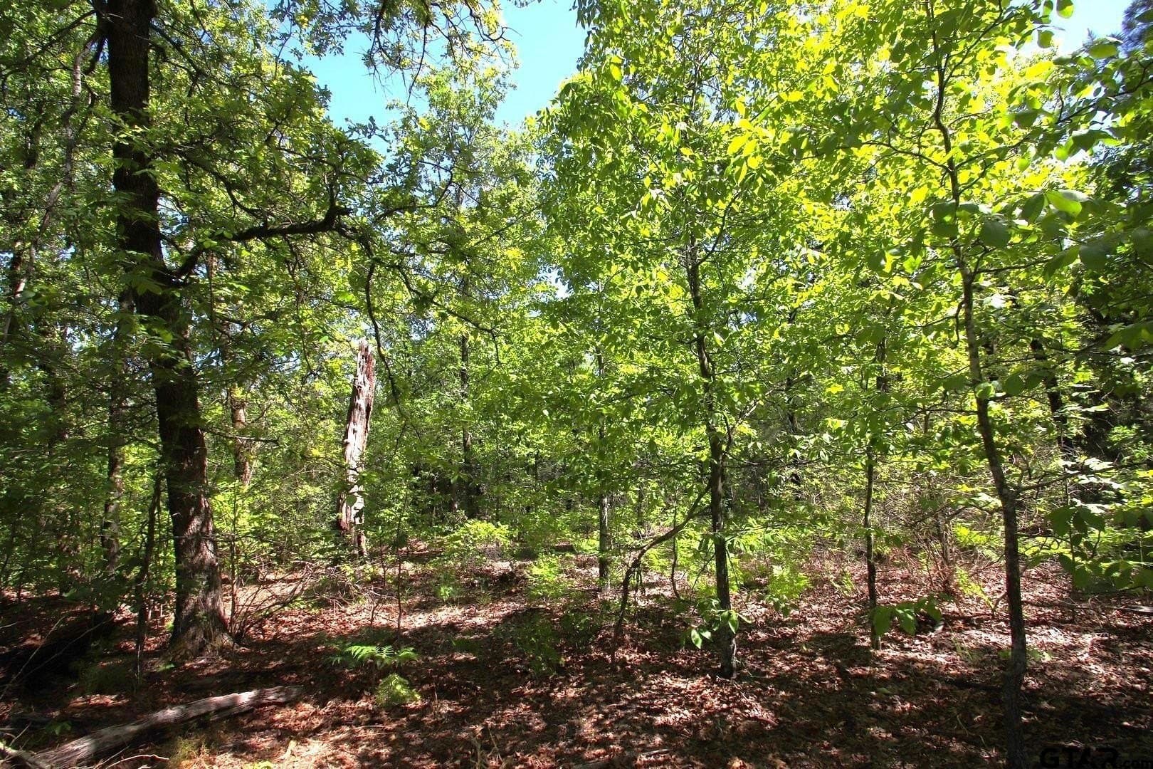 59.08 acres in Wood County - photo 12