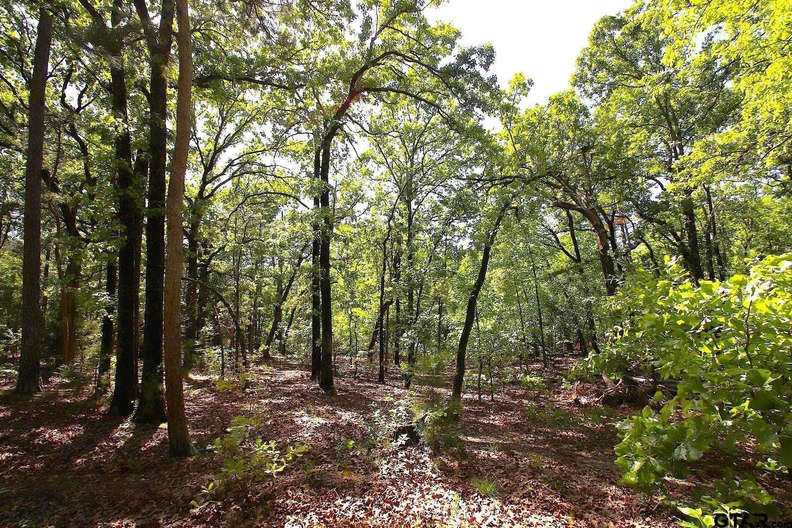 59.08 acres in Wood County - photo 37