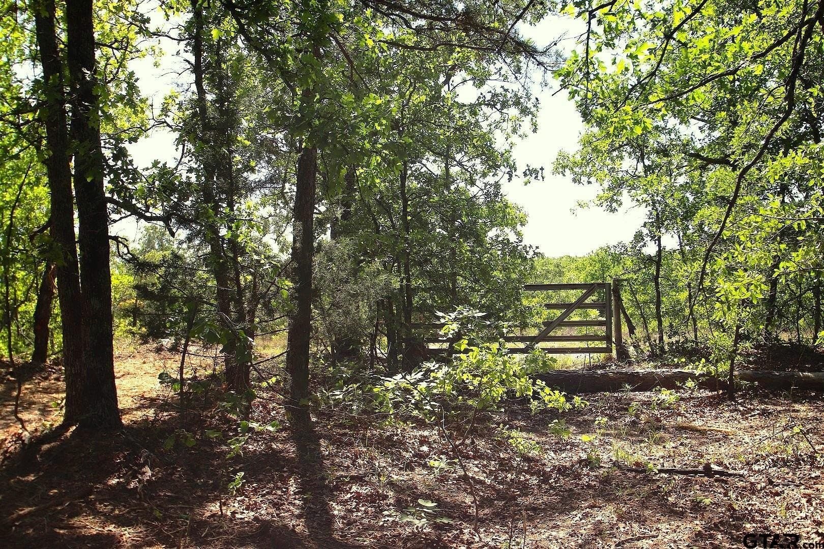 59.08 acres in Wood County - photo 43