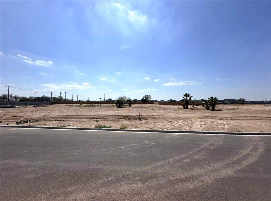 1.01 acres in Hidalgo County gallery image 2