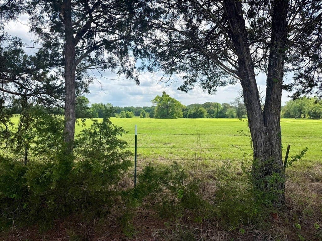 11.01 acres in Henderson County gallery image 3