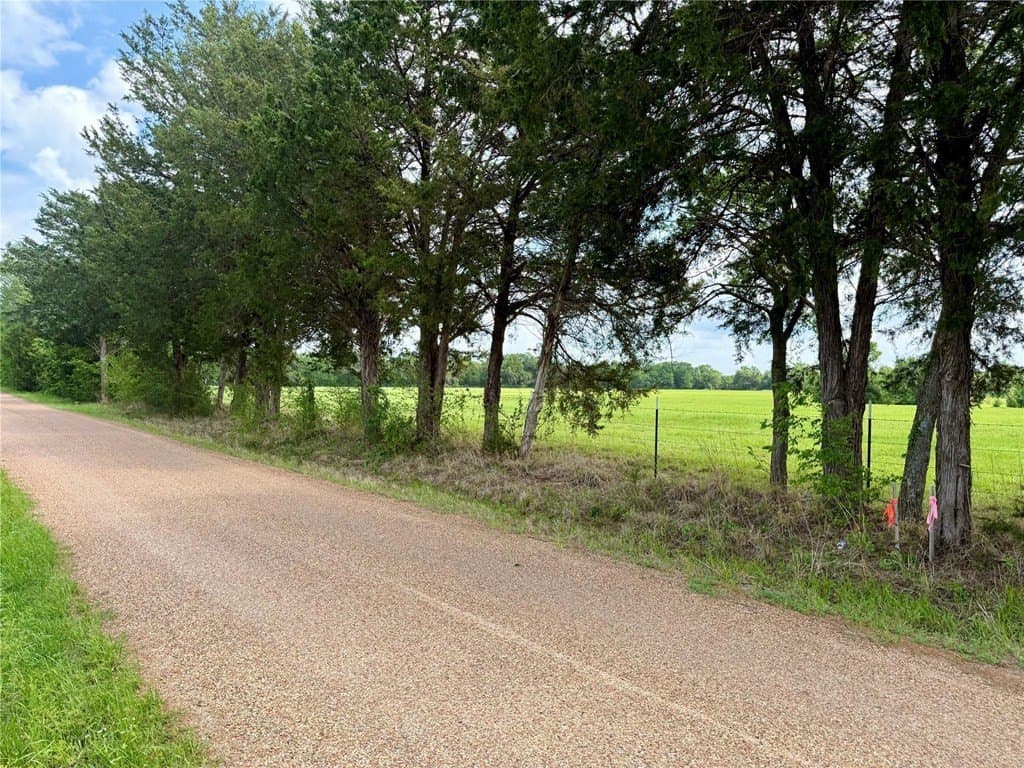 11.01 acres in Henderson County gallery image 4