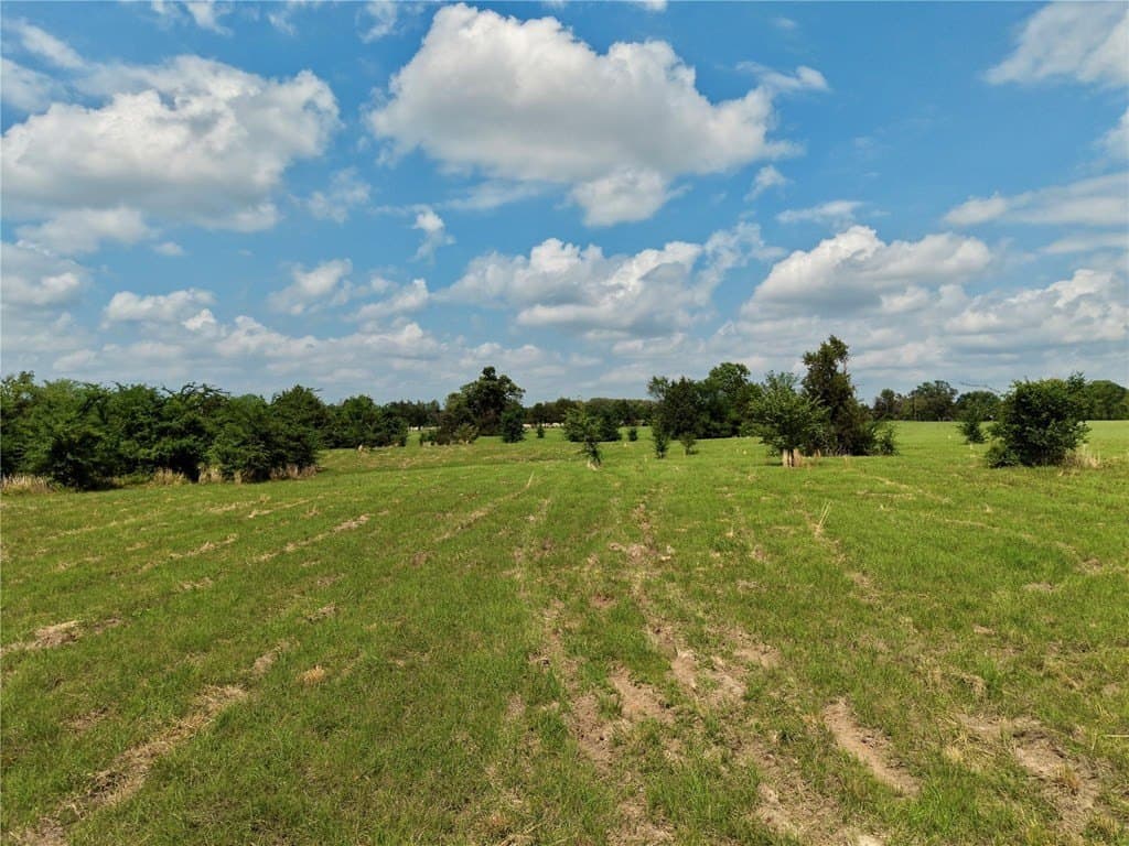 11.01 acres in Henderson County featured view