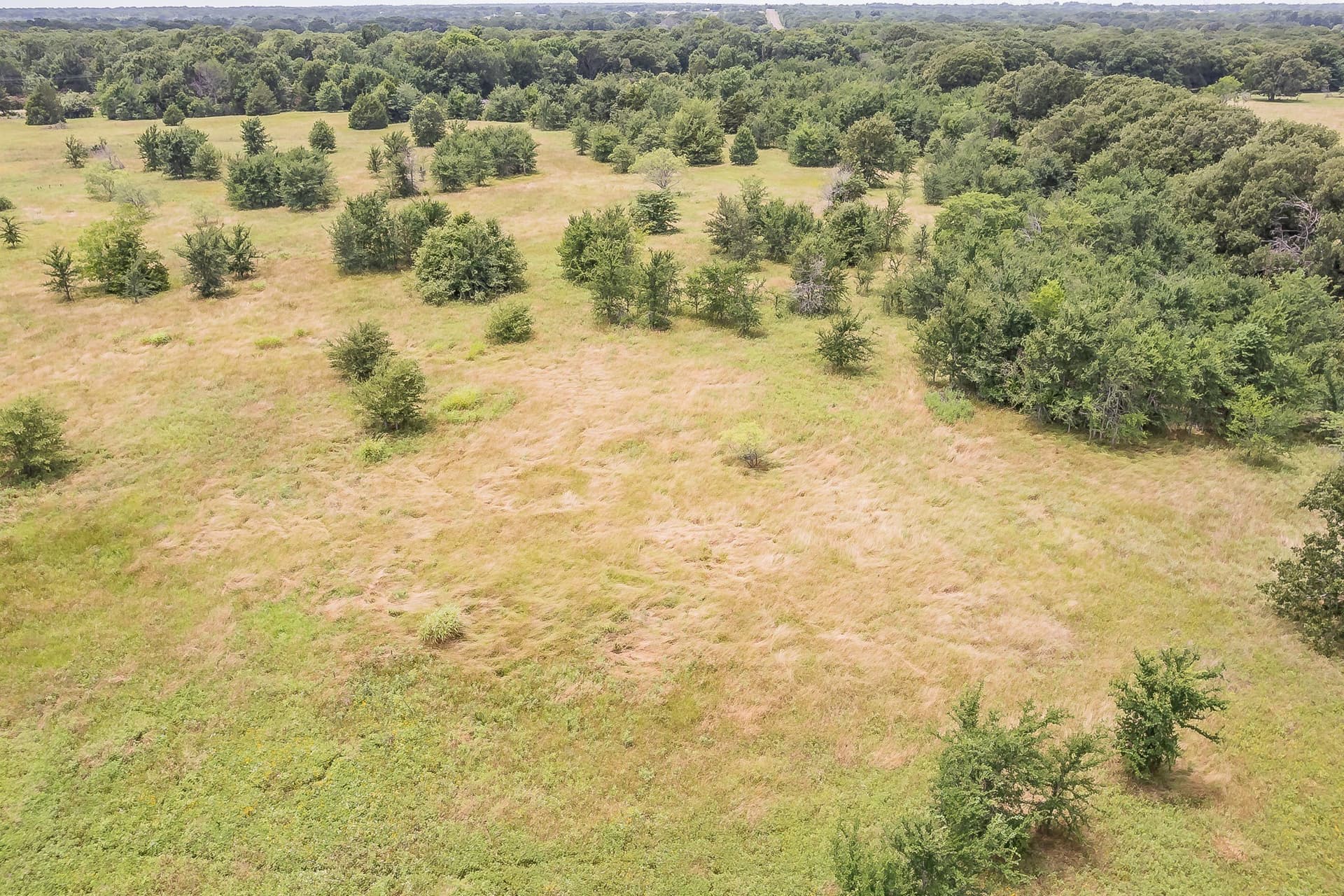 51.17 acres in Kaufman County - photo 9