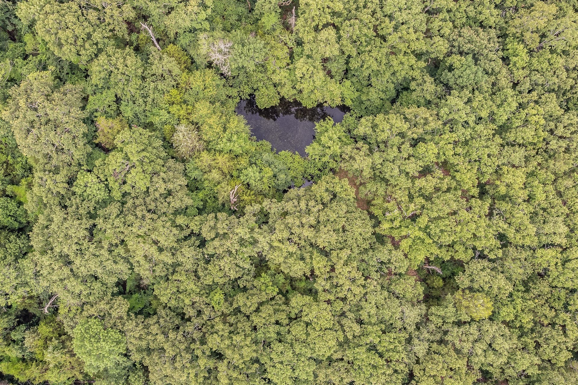 51.17 acres in Kaufman County - photo 24