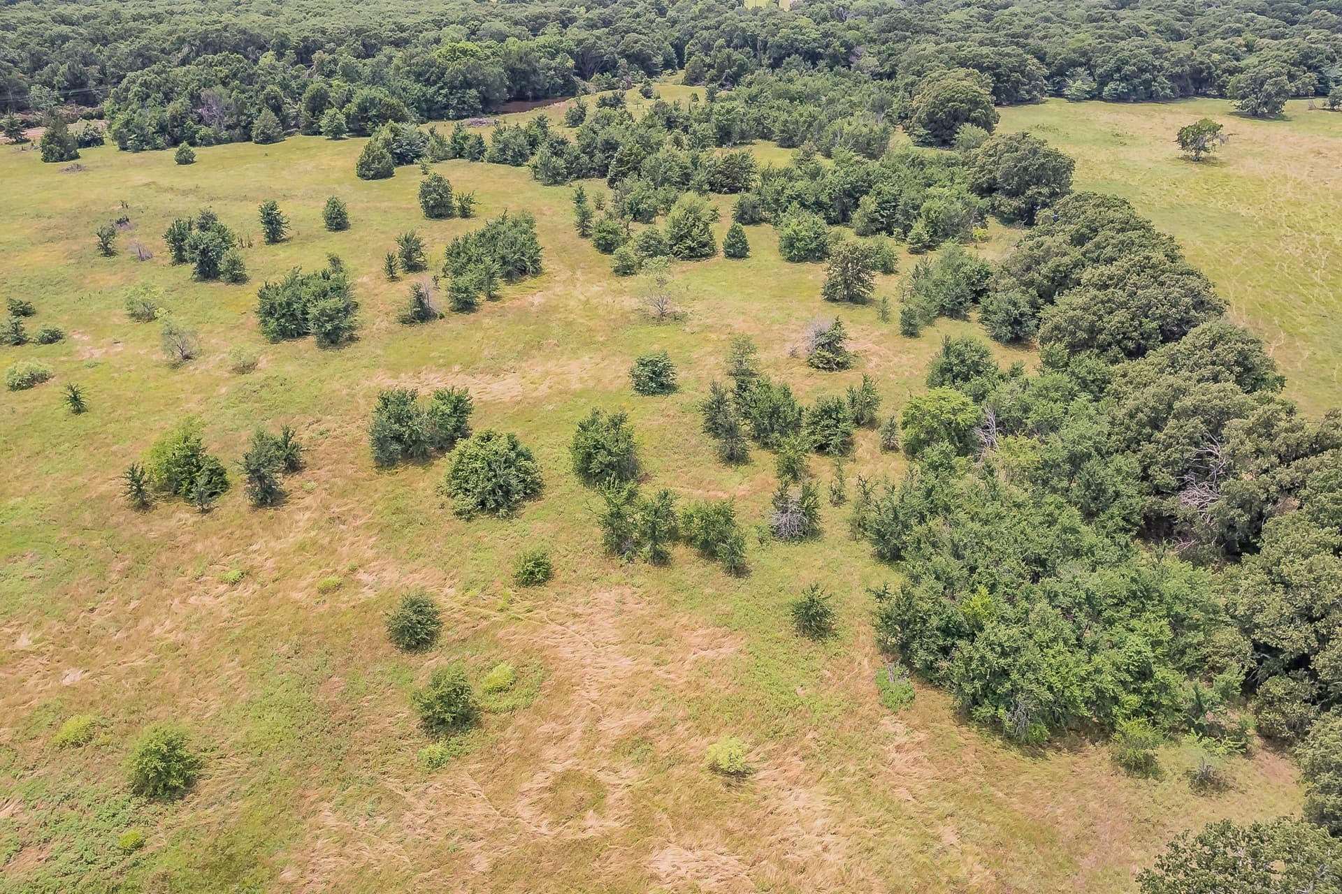 51.17 acres in Kaufman County - photo 10