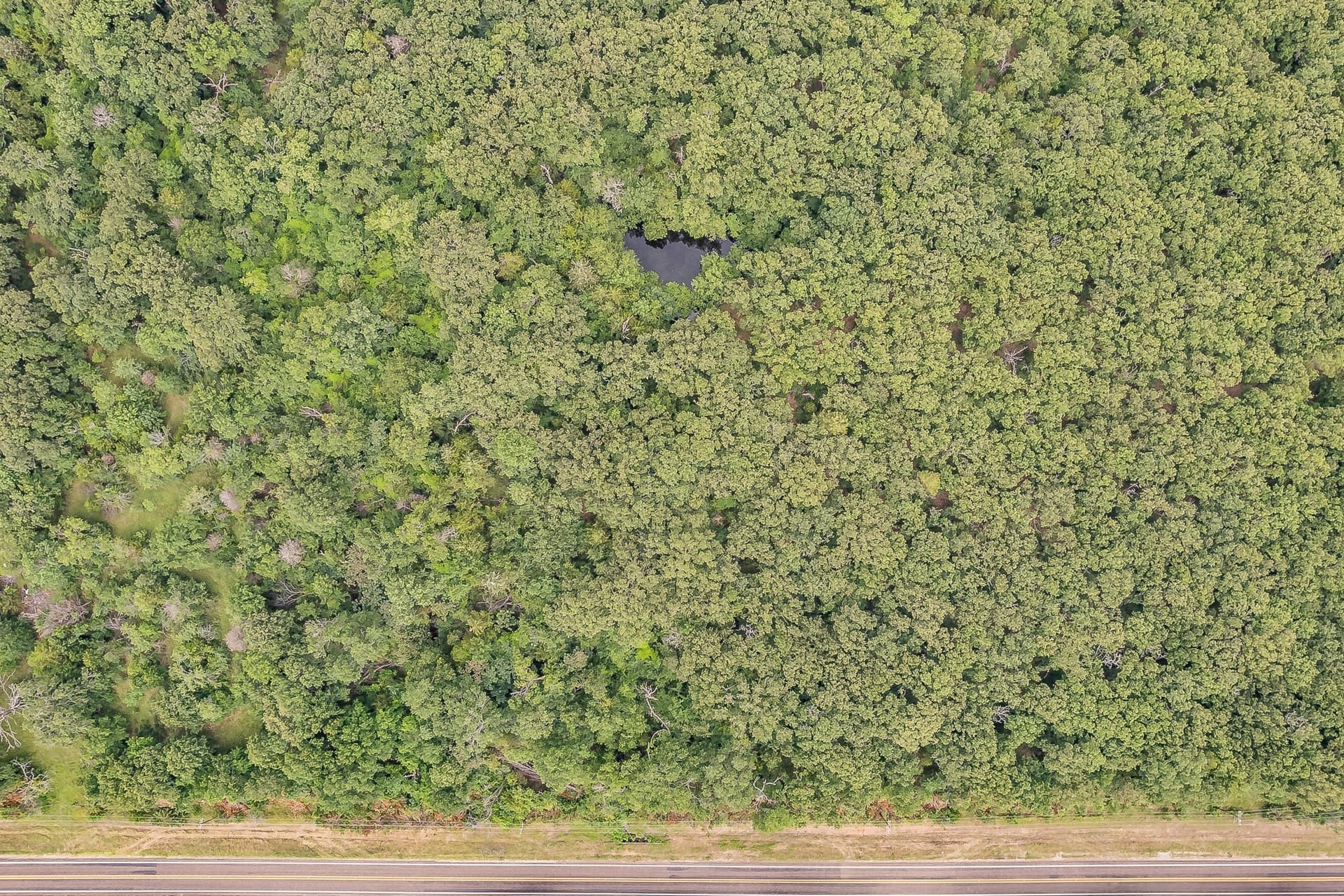 51.17 acres in Kaufman County - photo 22