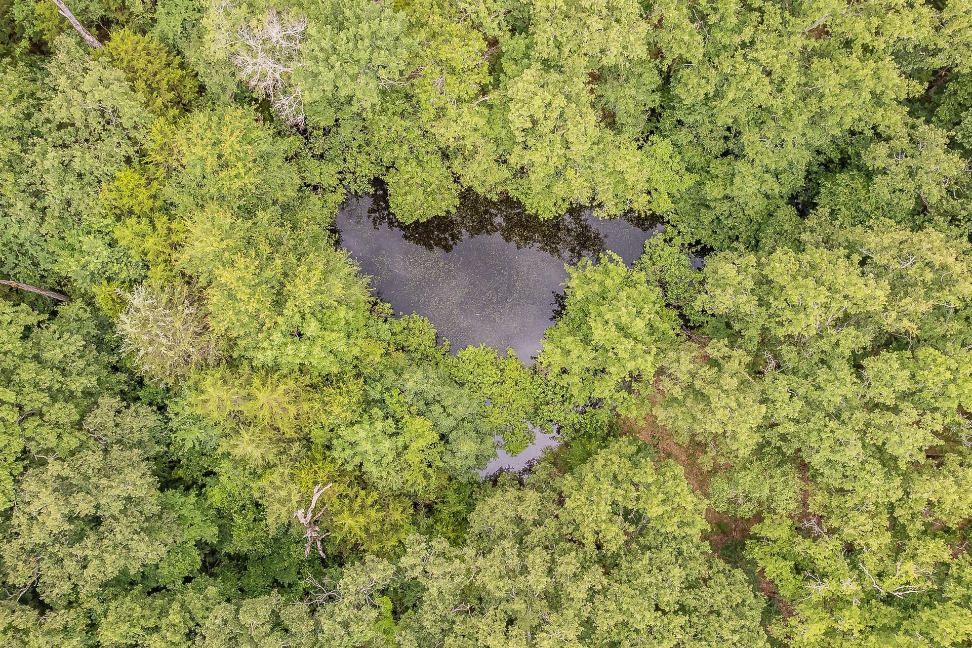 51.17 acres in Kaufman County - photo 25