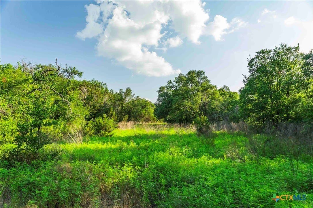 62.6 acres in Williamson County - photo 18
