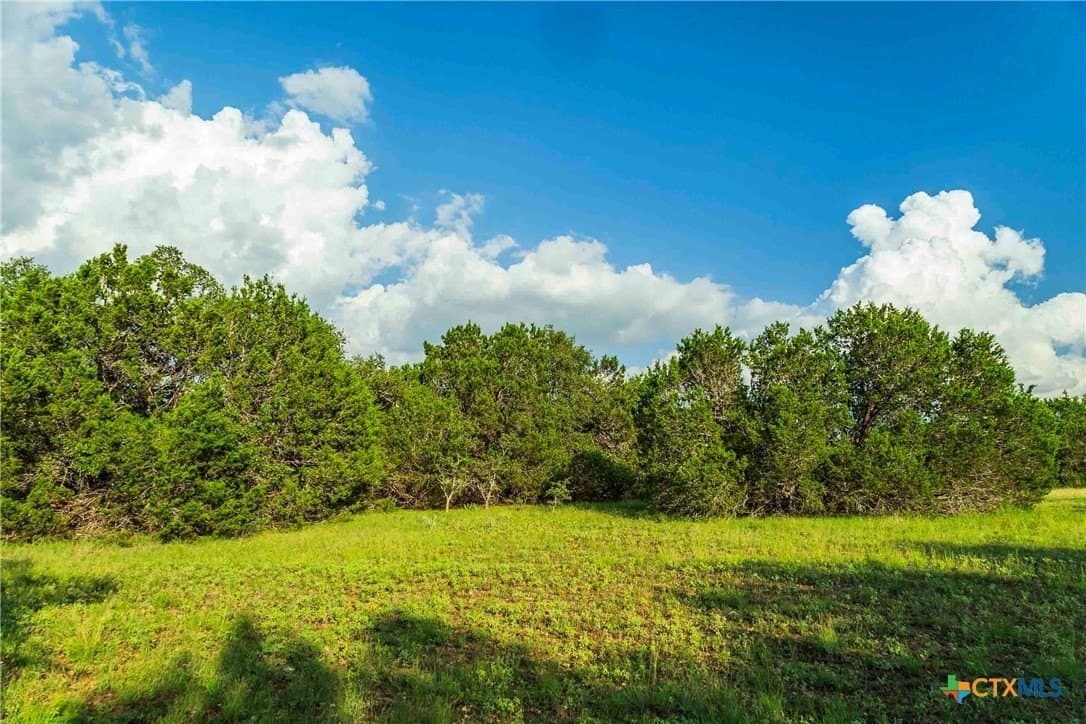 62.6 acres in Williamson County - photo 27