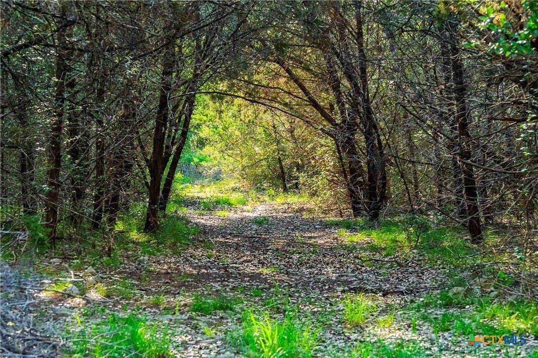 62.6 acres in Williamson County - photo 21