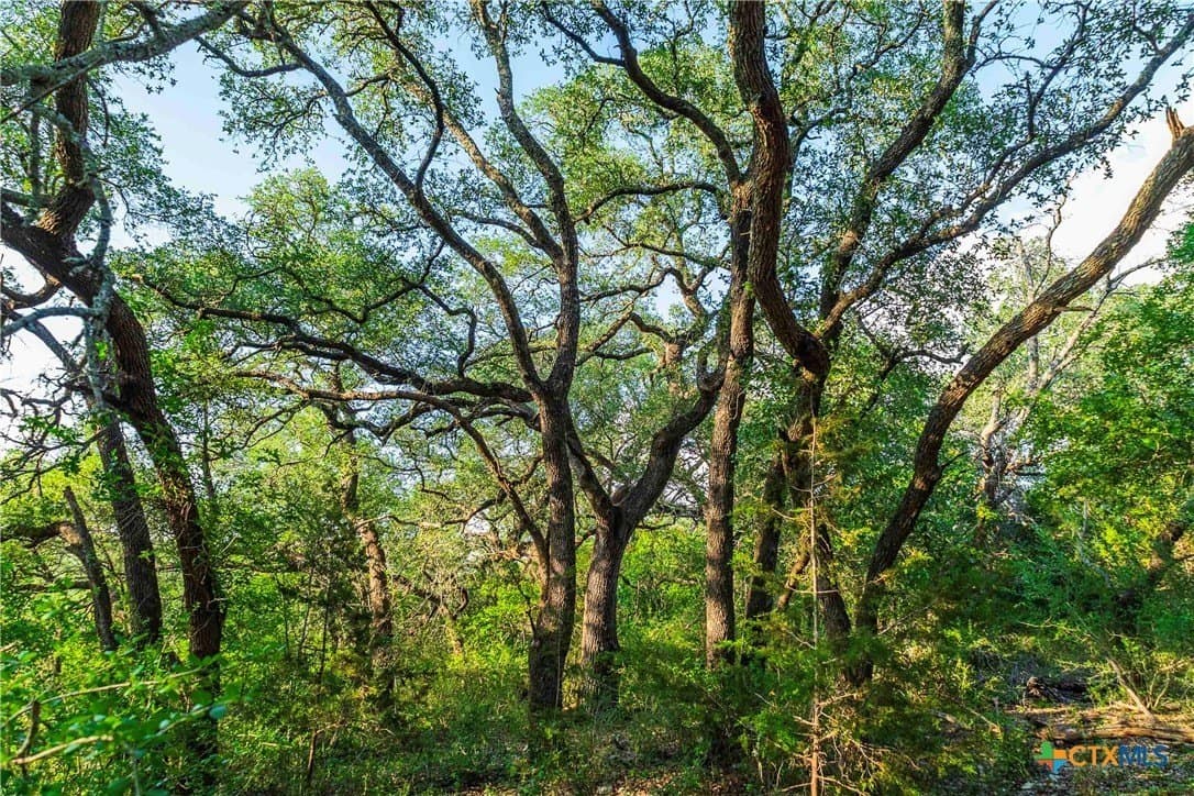 62.6 acres in Williamson County - photo 16
