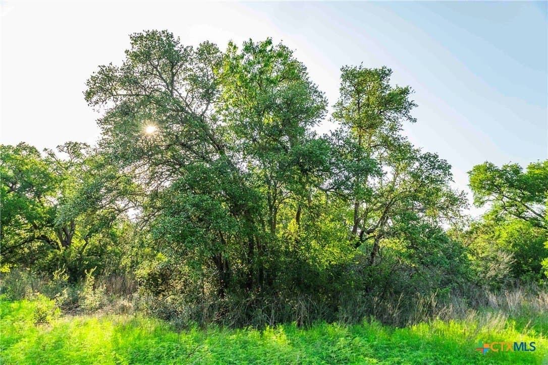 62.6 acres in Williamson County - photo 19