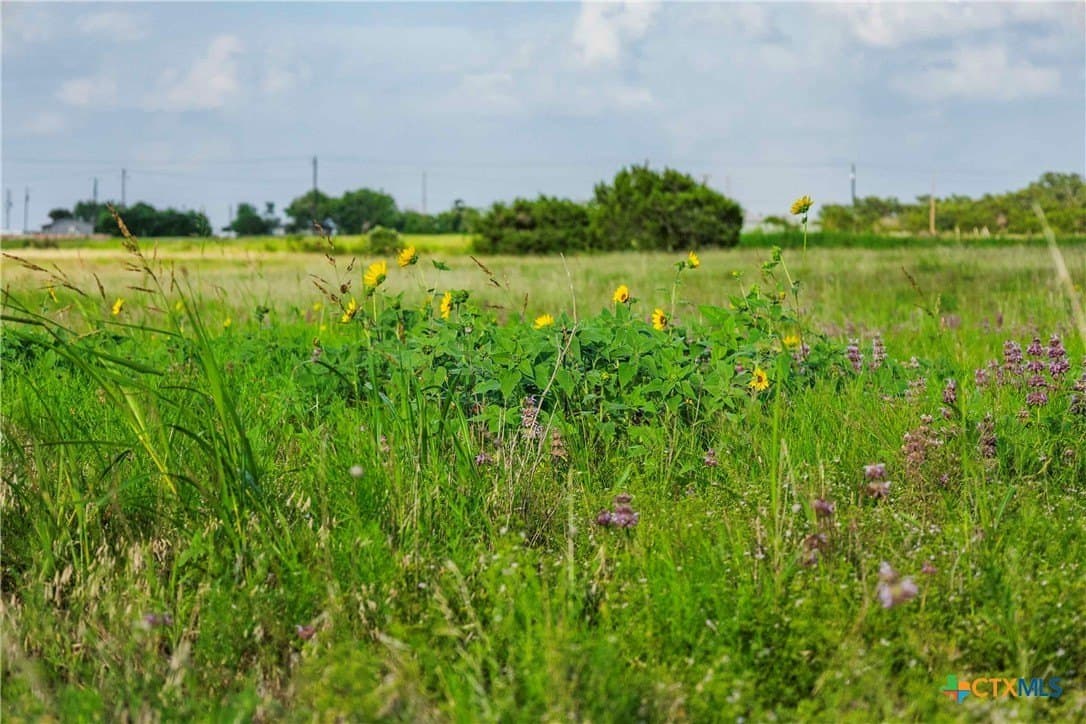 62.6 acres in Williamson County - photo 24