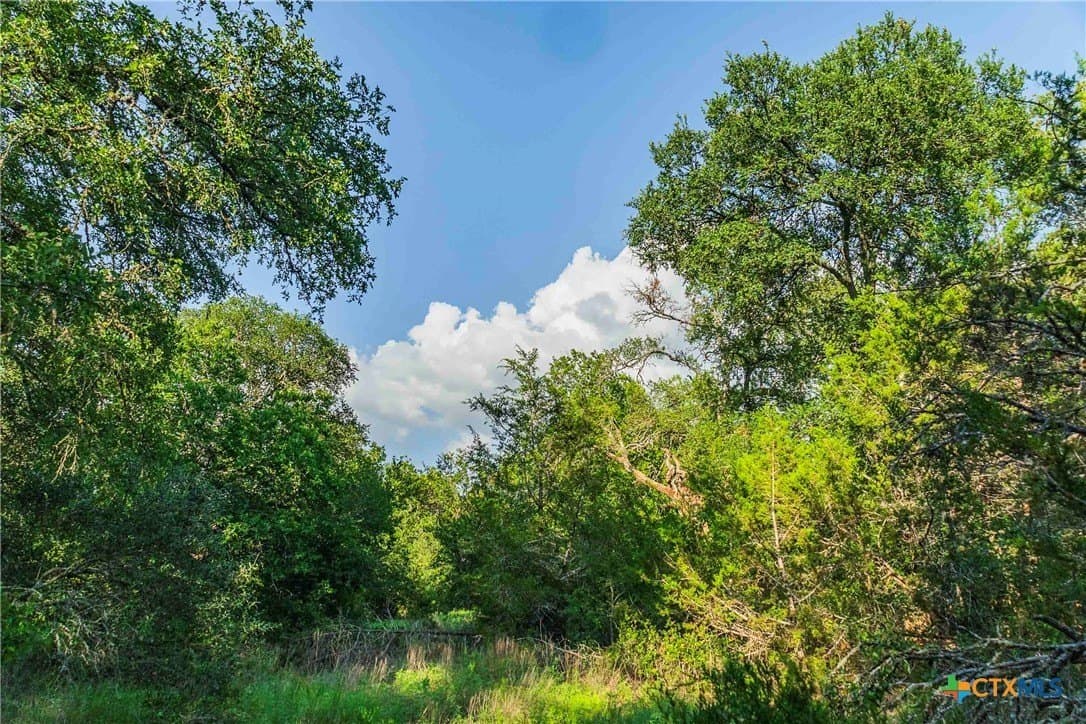 62.6 acres in Williamson County - photo 17