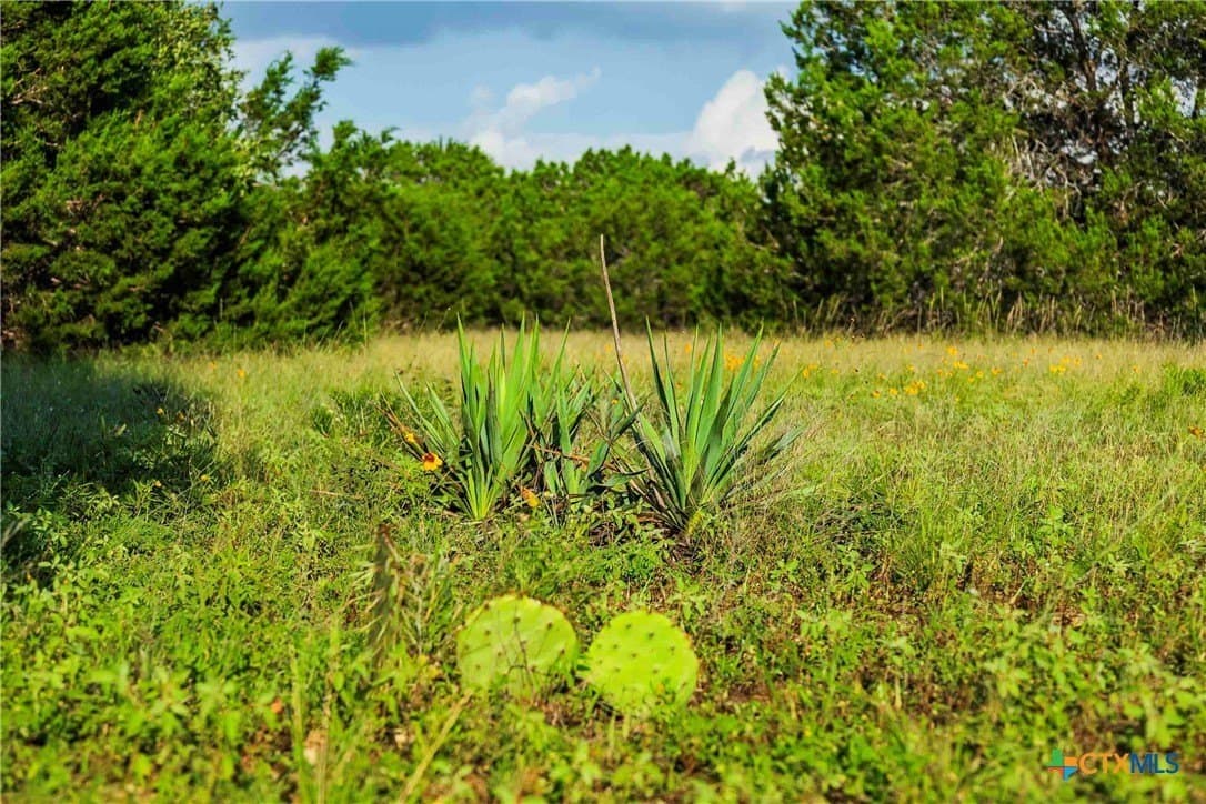 62.6 acres in Williamson County - photo 23