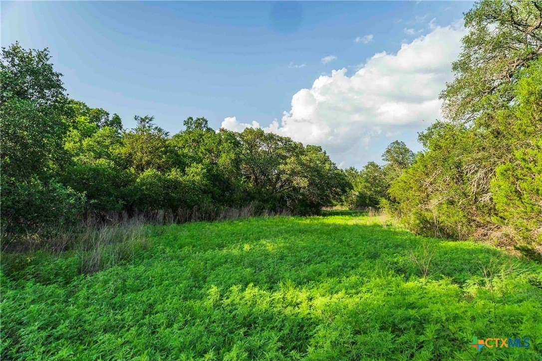 62.6 acres in Williamson County - photo 20