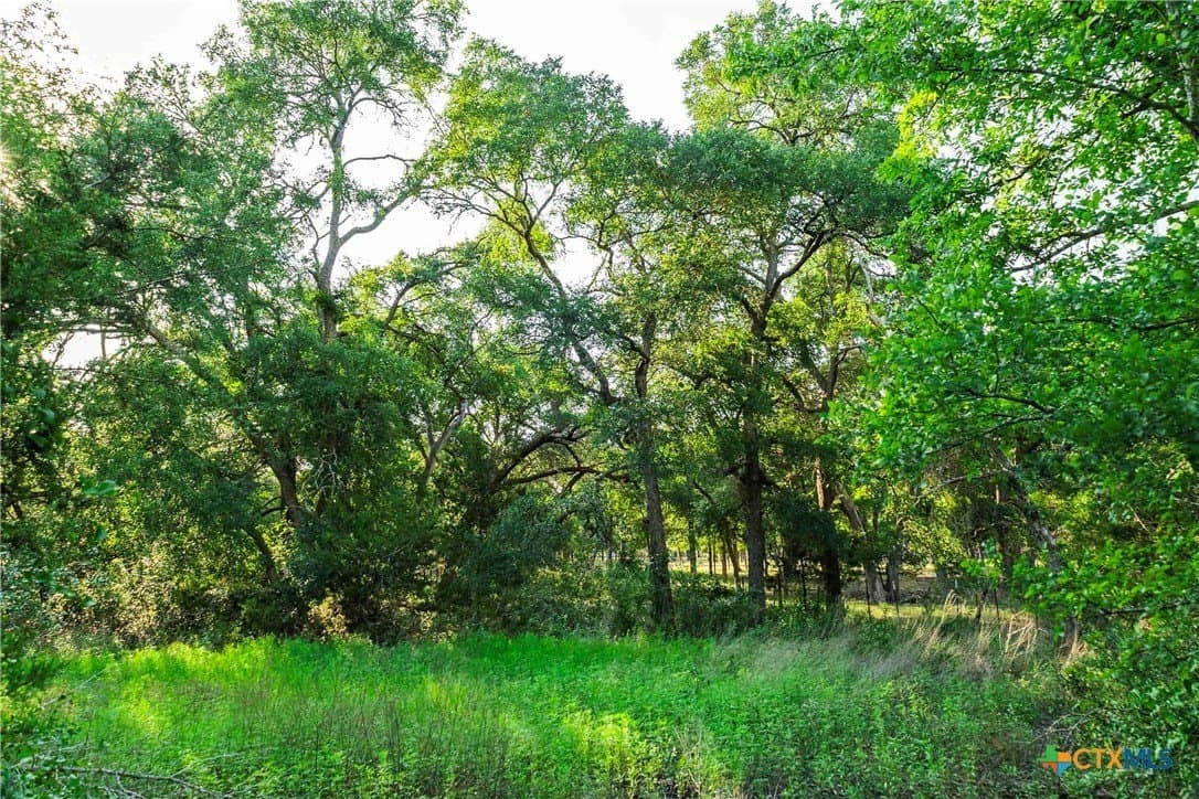 62.6 acres in Williamson County - photo 15
