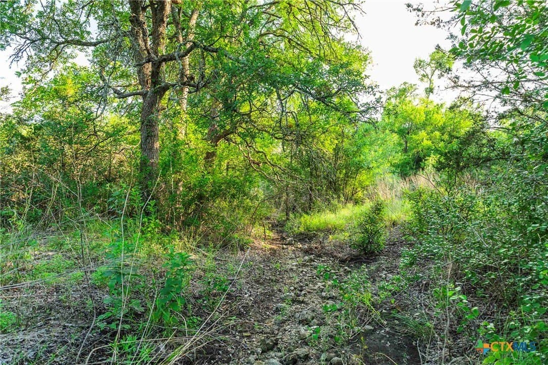 62.6 acres in Williamson County - photo 22