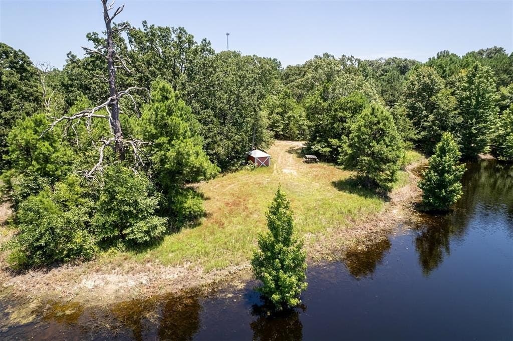 44 acres in Wood County gallery image 4