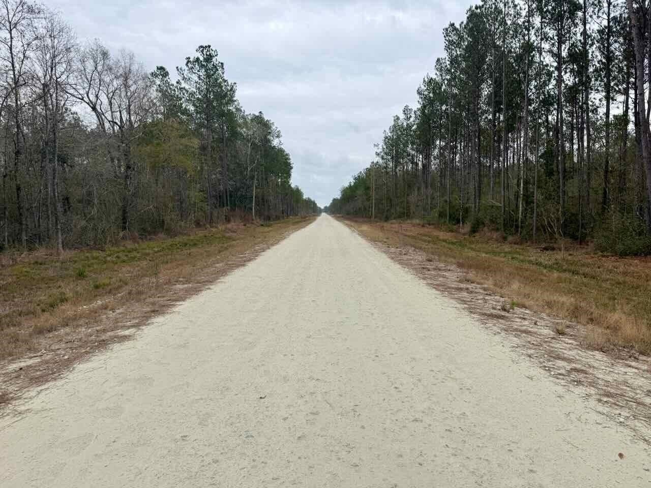 10.95 acres in Texas County gallery image 2
