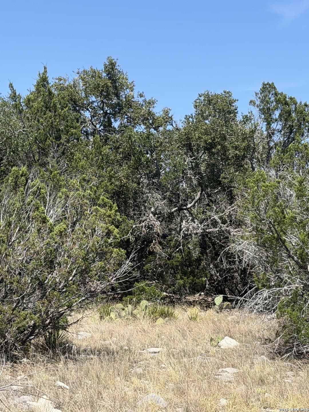 26.59 acres in Edwards County - photo 26